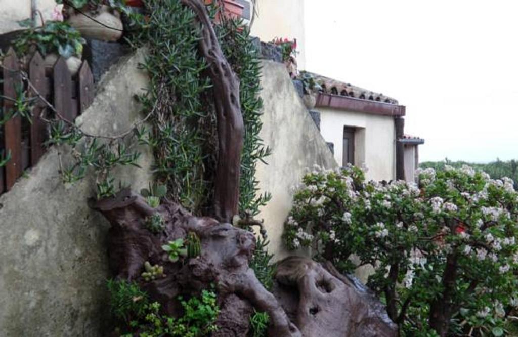 Agriturismo Ruvitello Misterbianco Δωμάτιο φωτογραφία